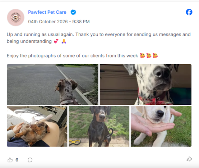Latest Facebook post from Pawfect Pet Care